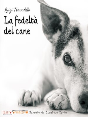 cover image of La fedeltà del cane